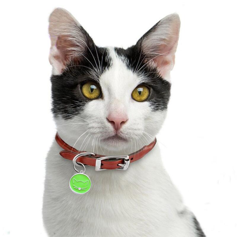Étiquettes pour chiens, identification animaux domestiques | Nom chien, collier étiquette pendentif chat gravé, accessoires pour animaux de compagnie visage de chat