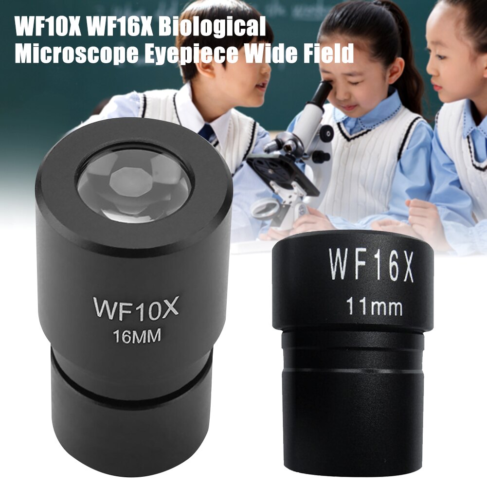 WF10X WF16X facile installer biologique grand champ Microscope oculaire étudiant Durable Interface 23.2mm lentille optique