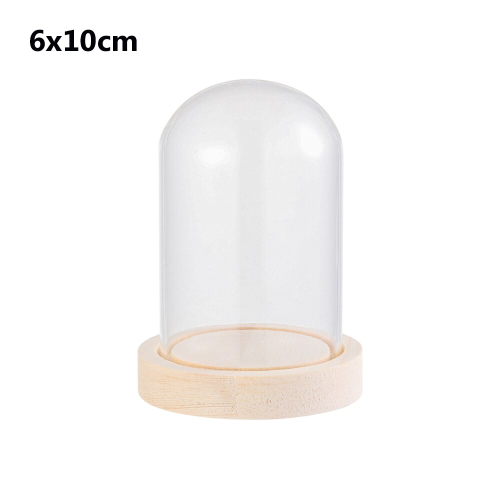 1Pcs Sferische Glas Cloche Jar Display Stand Cover Terrarium Fles Met Houten Base Acryl Stofkap Display Box Bloem doos: 6x10cm with base