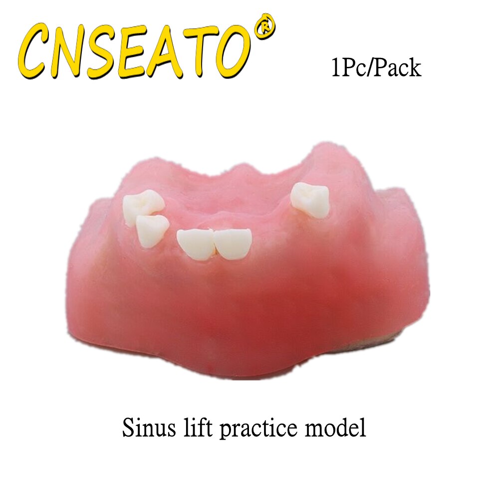 Dental Teeth Model Sinus Lift Practice Maxillary Bone Dentistry Tooth Models Dentist Teaching Demonstration Implant Simulator