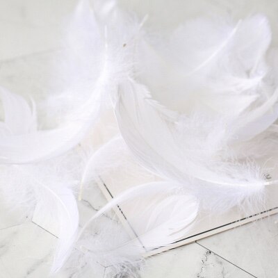 Refining Natural Feather Colourful Small Goose Feathers 3-8cm Photography props for Photo Background DIY Decoration: White