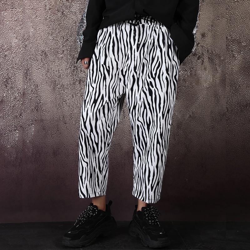 Hommes motif zèbre ample décontracté jambe large sarouel homme femmes Streetwear Hip Hop pantalon Joggers pantalons de survêtement cheville-longueur pantalon: L
