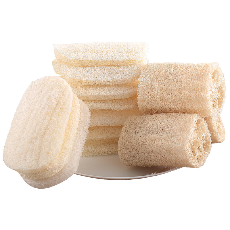 Naturlig luffasvamp disktrasa luffa skurdyna ekologisk plantering hushållskök ren borste diskmaskin