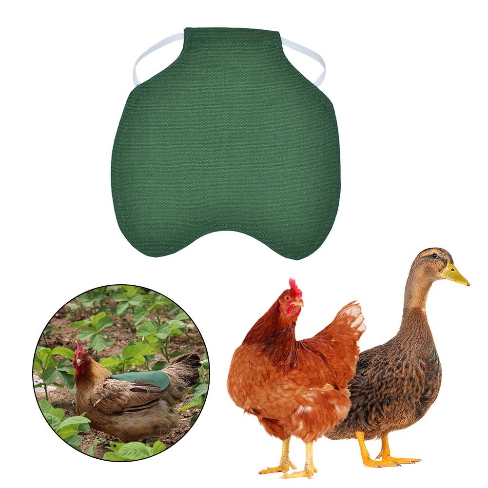 Justerbart kæledyrstøj høne forklæde fjerkræ høne sadel forklæde fjer beskyttelse holder kylling and vinger tilbage beskytter høne kjole: Grøn