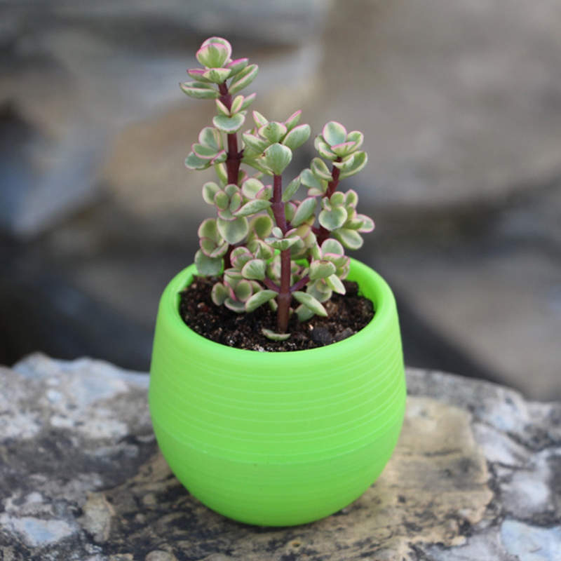 Jjyl80 Mini pot de fleurs | Mini pot de fleurs en plastique incassable pour plantes succulentes, sur le jardin de bureau: 6