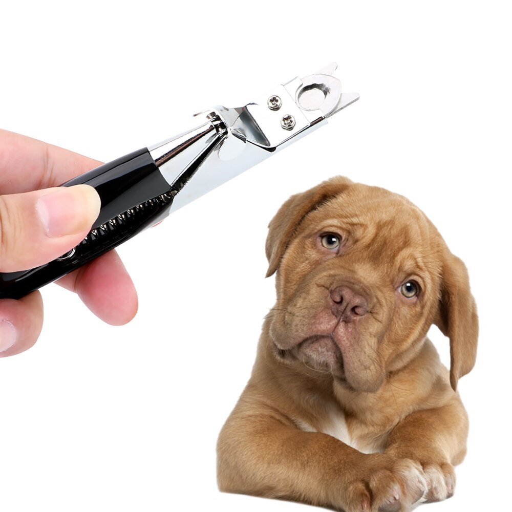 Kæledyrsprodukter klosakse rustfrit stål kæledyrsnegleklippere trimmer kat pleje katteforsyninger cutter