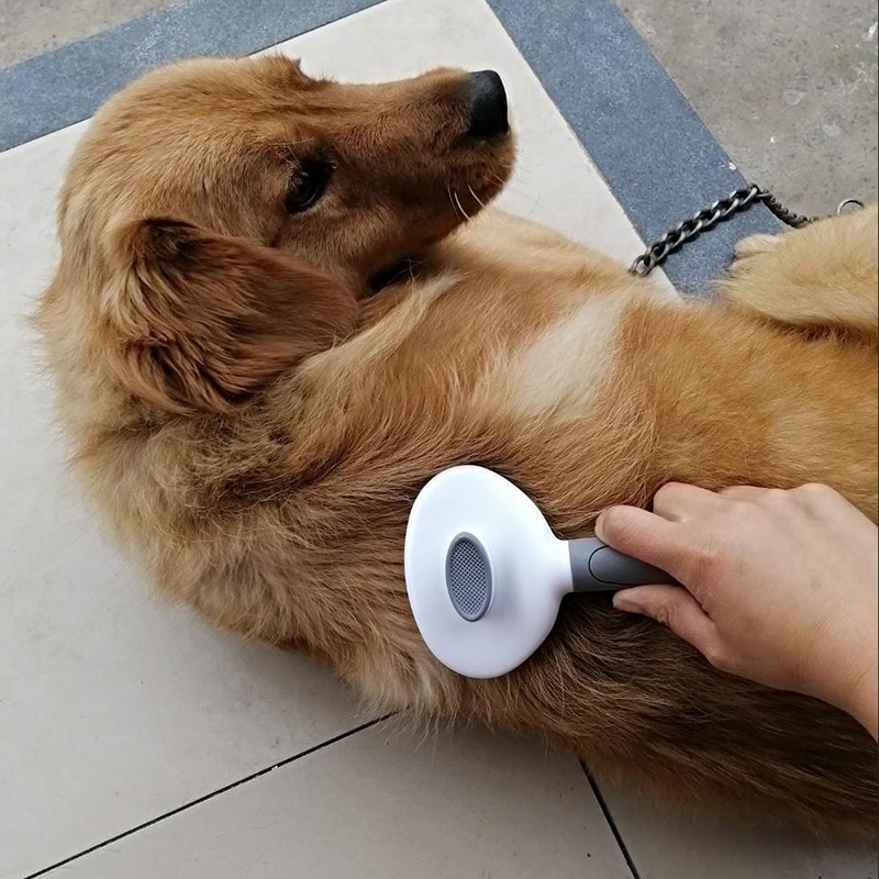 Cepillo de pelo para perros y gatos, peine de masaje de autolimpieza, Golden Retriever, productos para mascotas, accesorios