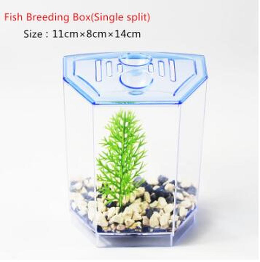 Mini arktisk fiskeavlskasse dobbelt guppy ruge dobbelt klækning akvarium betta gennemsigtig kasse  wf1020