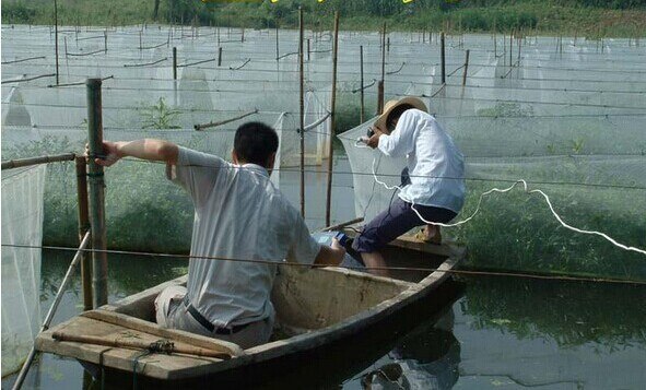 1 pcs breeding net shrimp nets Aquaculture net Fishing nets Plastic Aquaculture cage