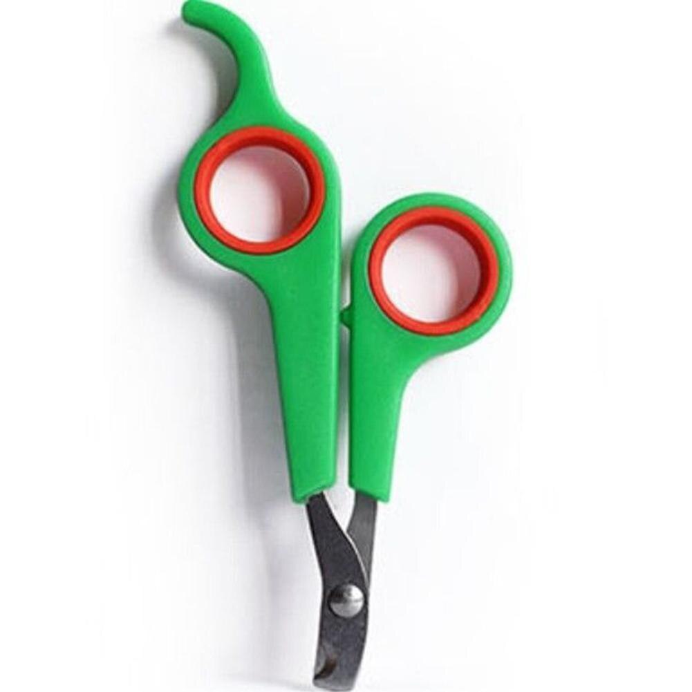 Coupe-ongles pour animaux de compagnie, outil de toilettage, griffes de lapin, ciseaux à ongles, patte d&#39;animal, perroquet gerbid bird pour chien, cisaille à ongles de chat: Green  Red