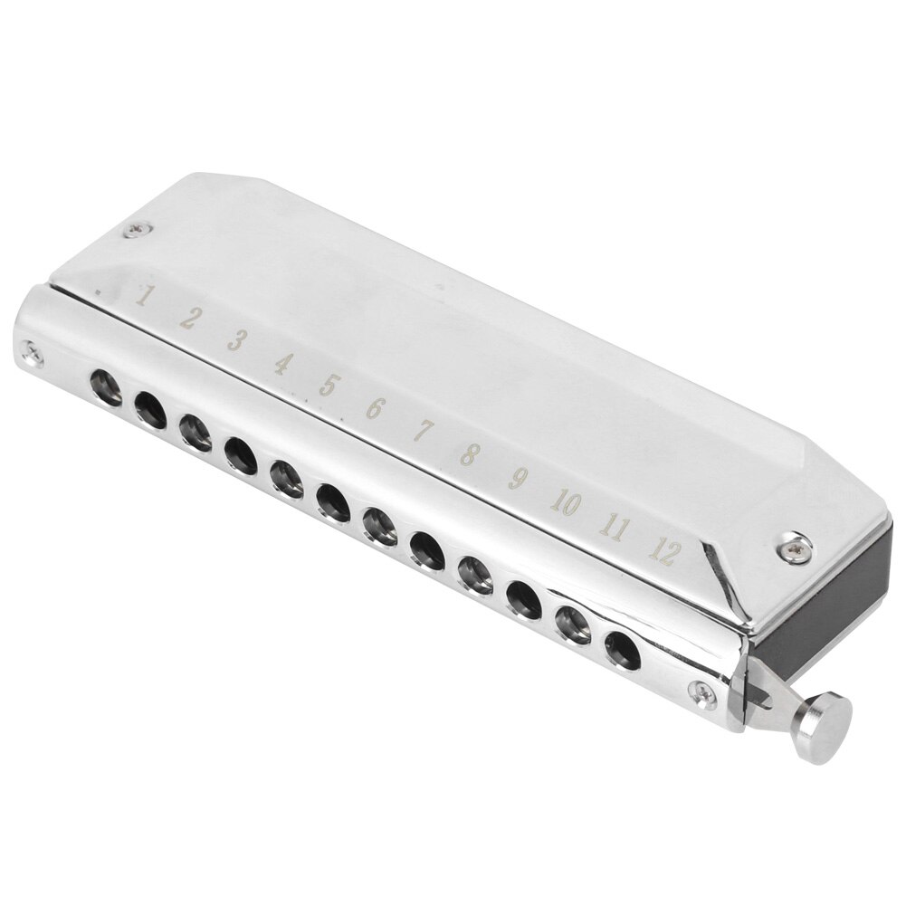 Chromatische Mondharmonica C Key Harmonica 12 Hole 48 Toon Harmonica Rvs Professionele Spelen Mond Orgel