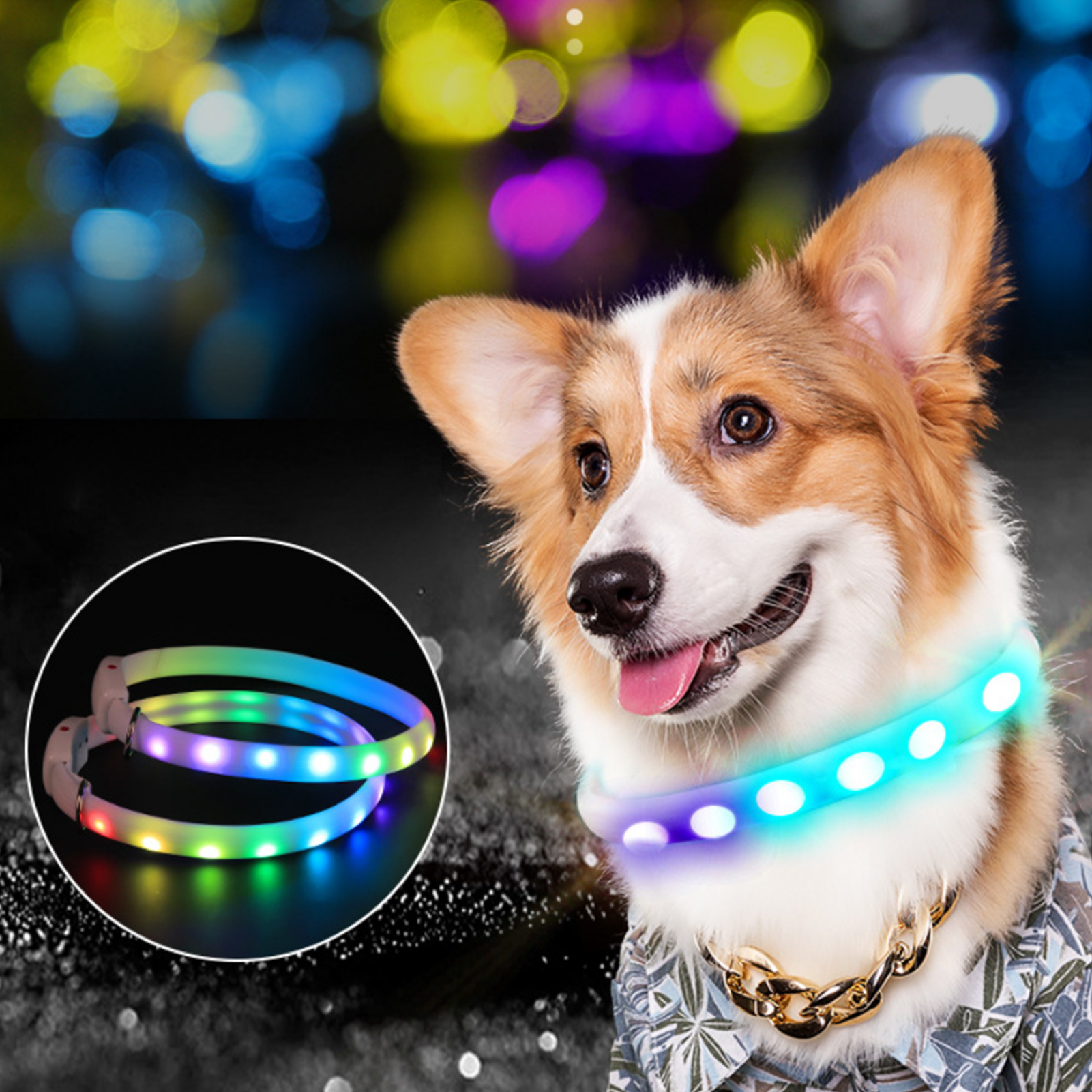 Collier lumineux LED USB pour animaux de compagnie, collier de chien, collier de chat, clignotant, ceinture de sécurité nocturne, anti-perte, brillant, brillant