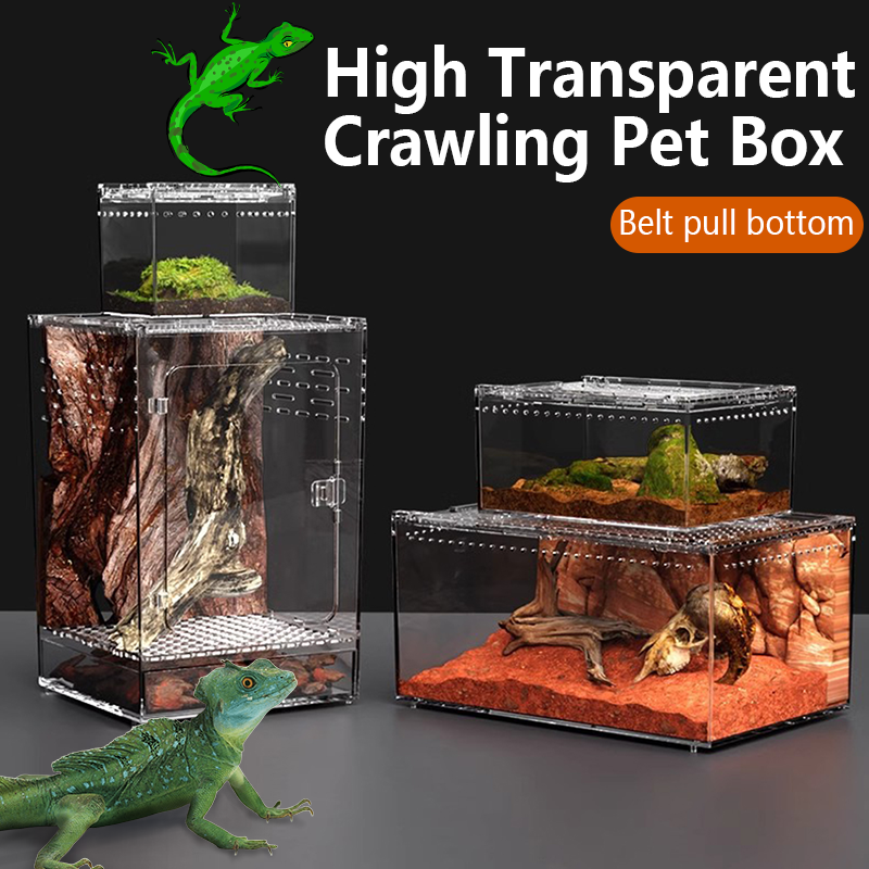 Petite boîte d'élevage de reptiles, Ventilation, amphibiens, Terrarium, élevage d'insectes, araignée, enceinte arboréale, Cage d'habitat de lézard