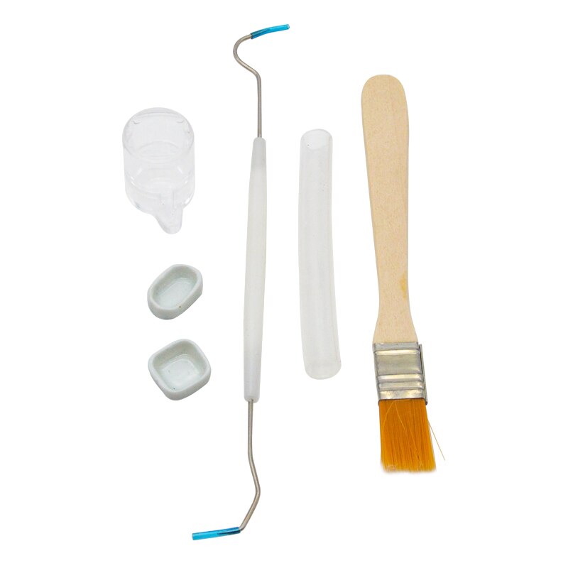 10 in1 DIY Acrylic Ant Farm Tools Set with Food Water Feeder Pet Anthill Ants House Workshop Ant Nest Accessories Feeding Plate