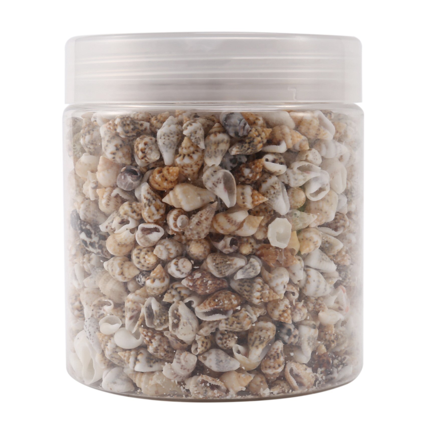 About 1300-1500 Tiny Sea Shell Ocean Beach Spiral Seashells Craft Charms 7-12mm for Candle Making,Home Decoration,Beach Theme