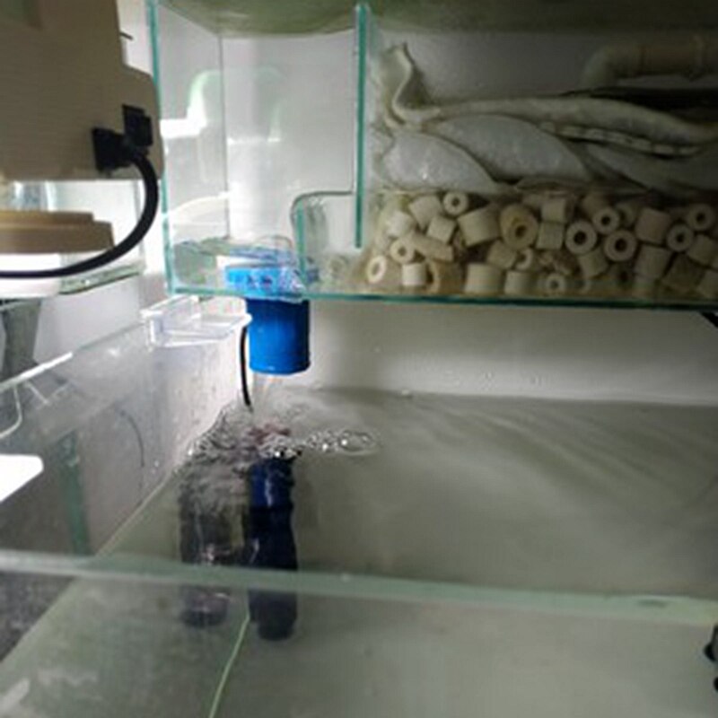 1-10Pcs 20~50mm PVC Direct Connectors Aquarium Fish Tank Drain Inlet Outlet Joints Garden Irrigation Plastic Overflow Pipe