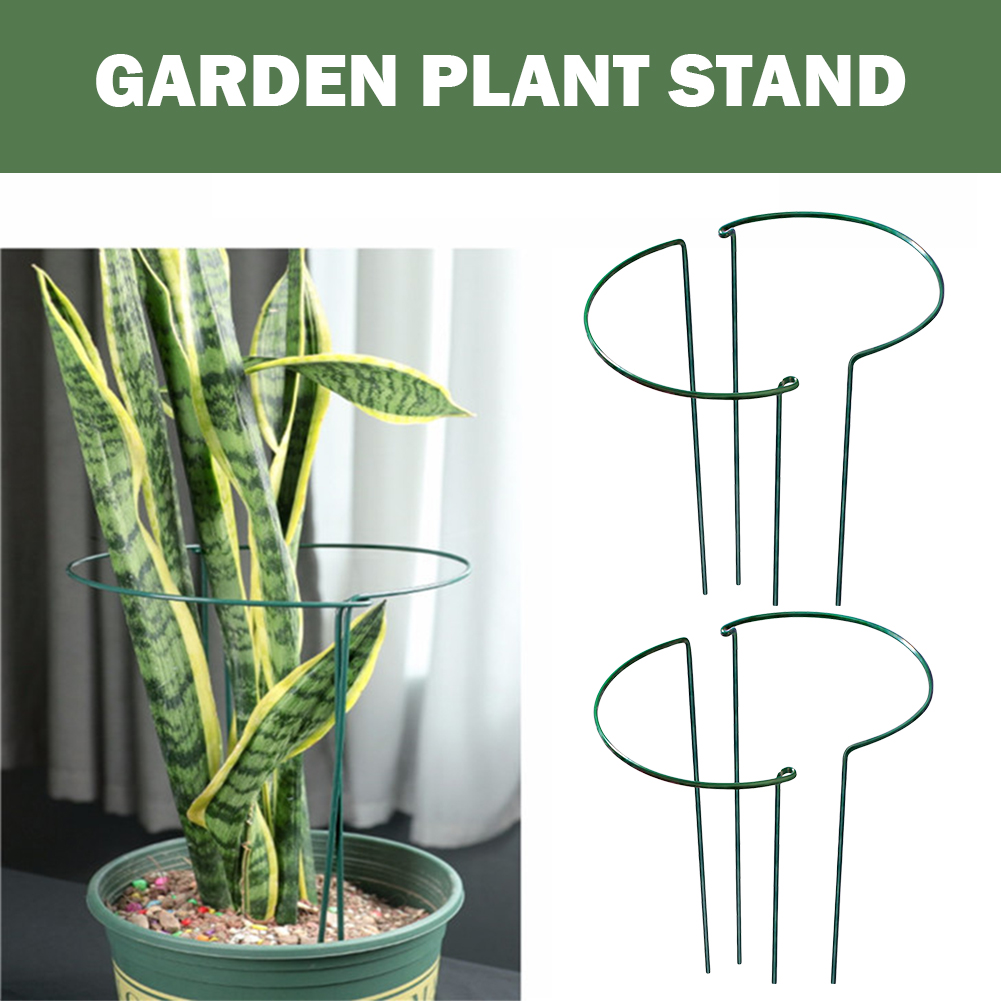 6 Stuks Tuinplant Ondersteuning Paal Half Ronde Metalen Tuinplant Strut Klimplant Ondersteuning Voor Indoor Outdoor Klimgroente