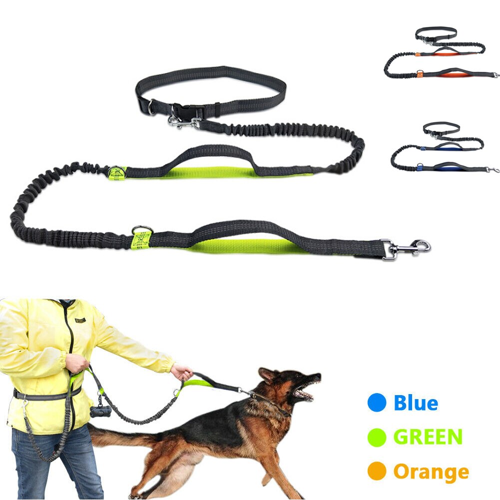Reflekterende bånd trekktau kjæledyr hund løpebelte elastisk hender fritt jogging trekk hundebånd metall d-ring bånd