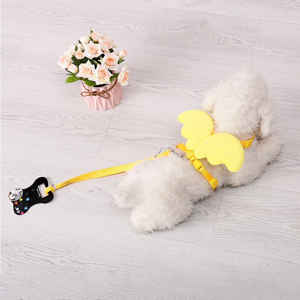 Schattige hond puppy engelenvleugel wandelriem harnas riem riem halsband verstelbaar