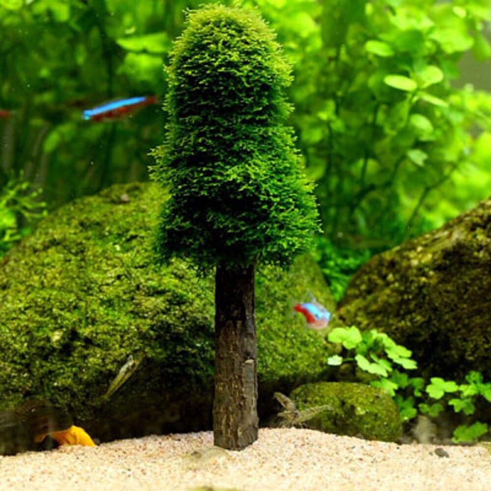 Aquarium waterplanten landschapsarchitectuur mosdragers kerstboomdecoratie ornament voor aquarium
