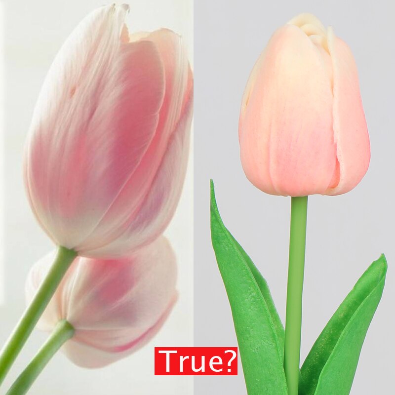 1pc kunstige blomster tulipan bamse frisk romantisk bryllup dekoration valentinsdag latex blomster