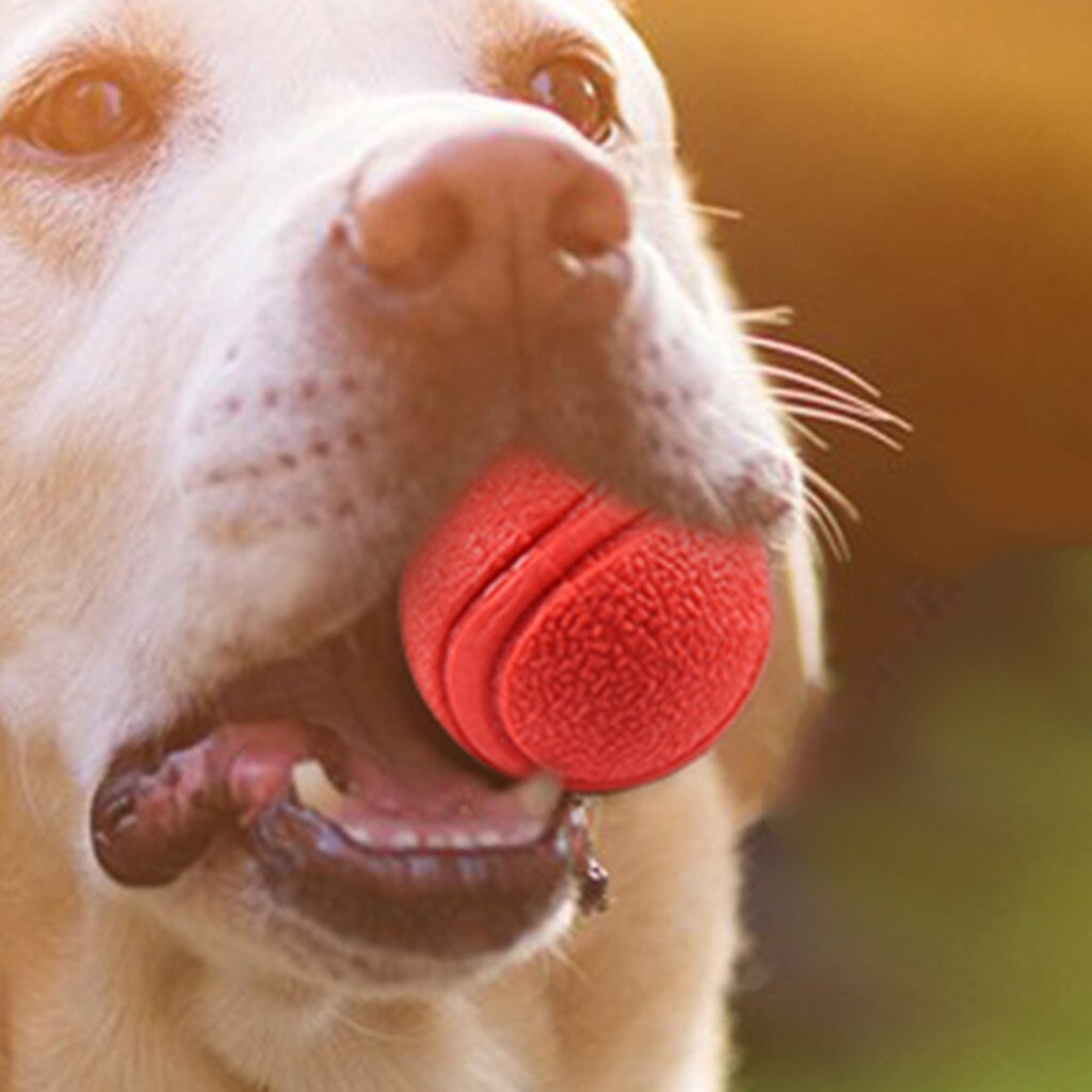 1Pcs pet dog training toy ball Solid Rubber Ball Pet Dog Toy Training Chew Play Fetch Bite Toys #30