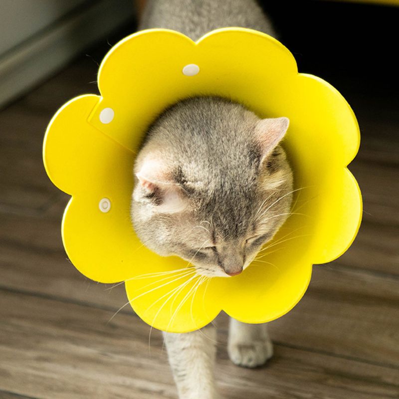 Collar de recuperación con forma de flor para gato, cono para el cuello, antimordedura, antiarañazos, para mascotas, Collar de protección para la curación de heridas de gatito