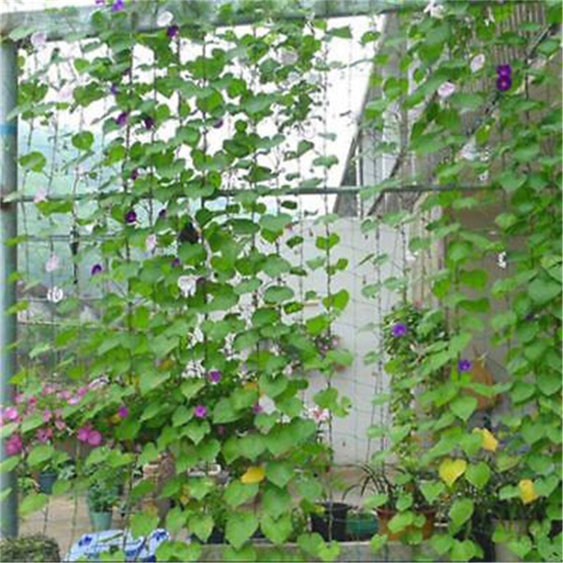 1.8 x 1.8m haven hegn mesh plante vinstokke klatring netto have dekoration havearbejde fugl net plast net