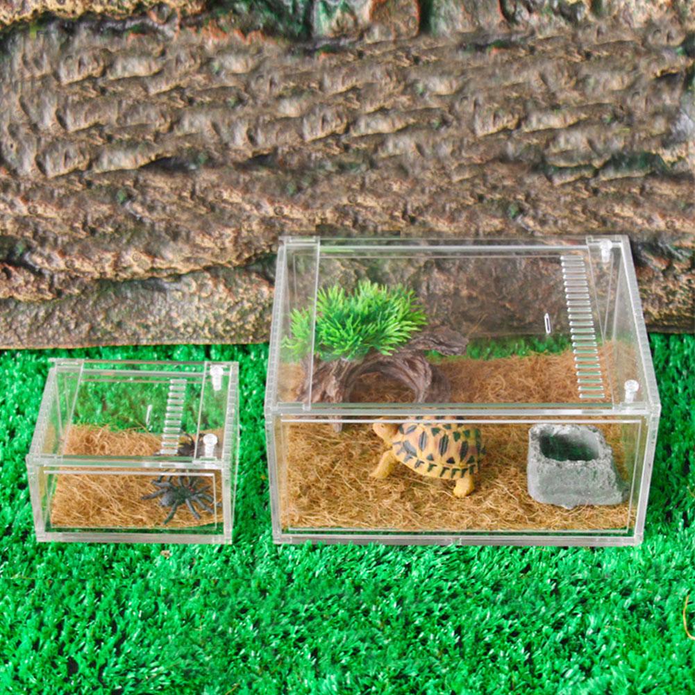 Reptile Tank Insect Spiders Tortoise Lizard Acrylic Transparent Breeding Box Vivarium Lid Reptile Pet Product Terrarium S/L Size