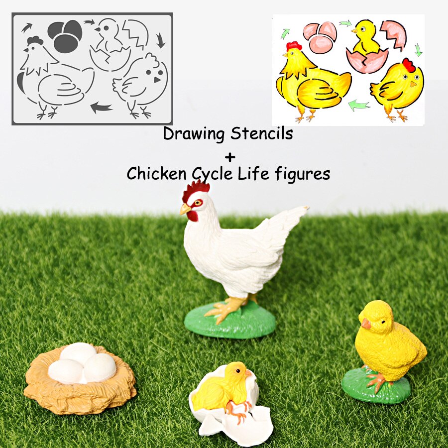 Simulation Animals Life Cycle Model Ladybug Butterfly Hen Turtle Frog Ant Figurine and Stencils Drawing Educational Toys: 1Chicken 1 Stencil