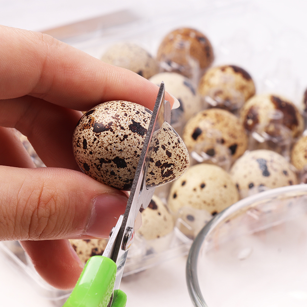 Rustfritt stål vaktel fugl egg skall åpner saks kutter klippemaskin kjøkken verktøy holdbart kjøkken rustbestandig vaktel egg åpner