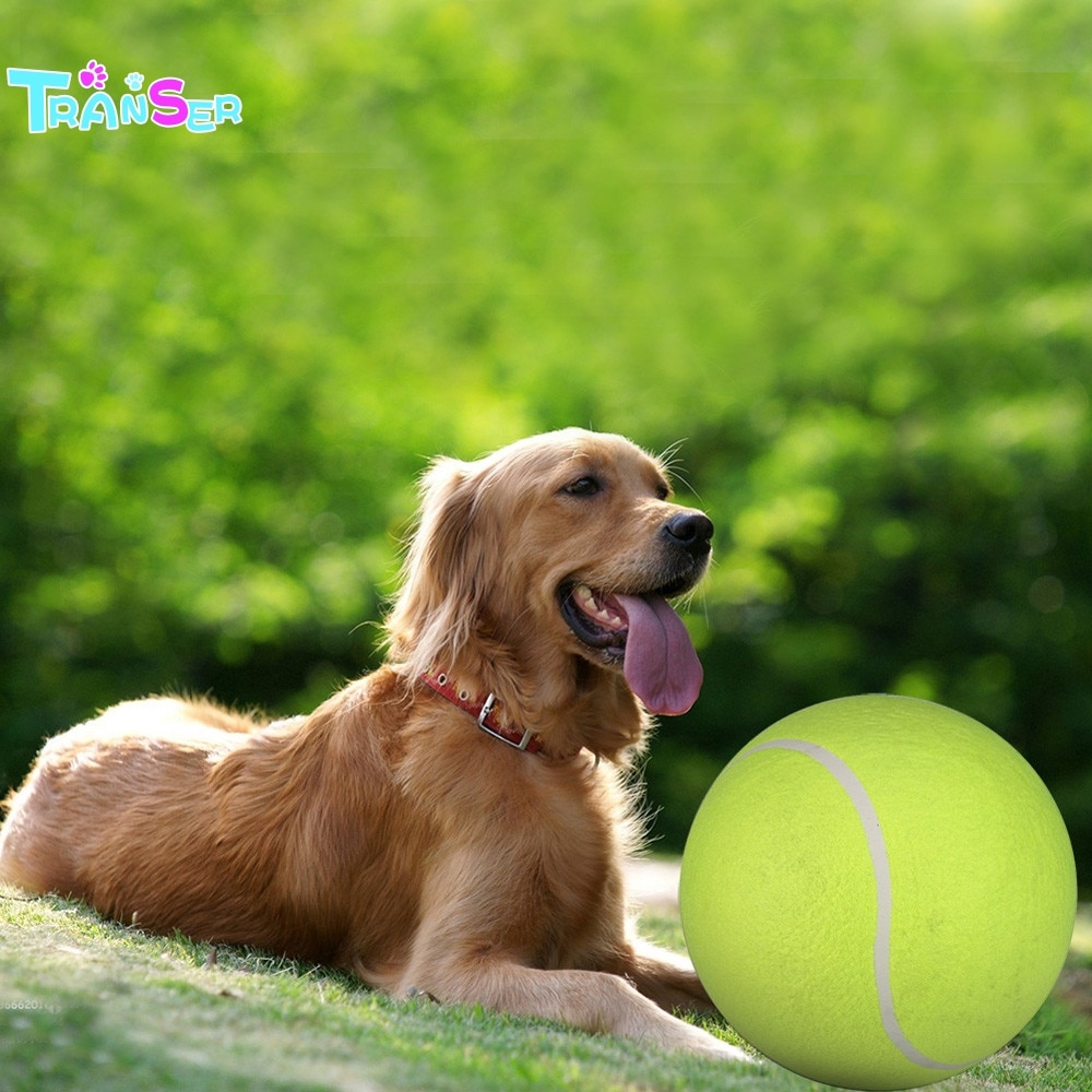 Transer Honden Speelgoed 24 Cm Giant Tennisbal Voor Huisdier Chewtoy Grote Opblaasbare Levert Outdoor Speelgoed J9W30