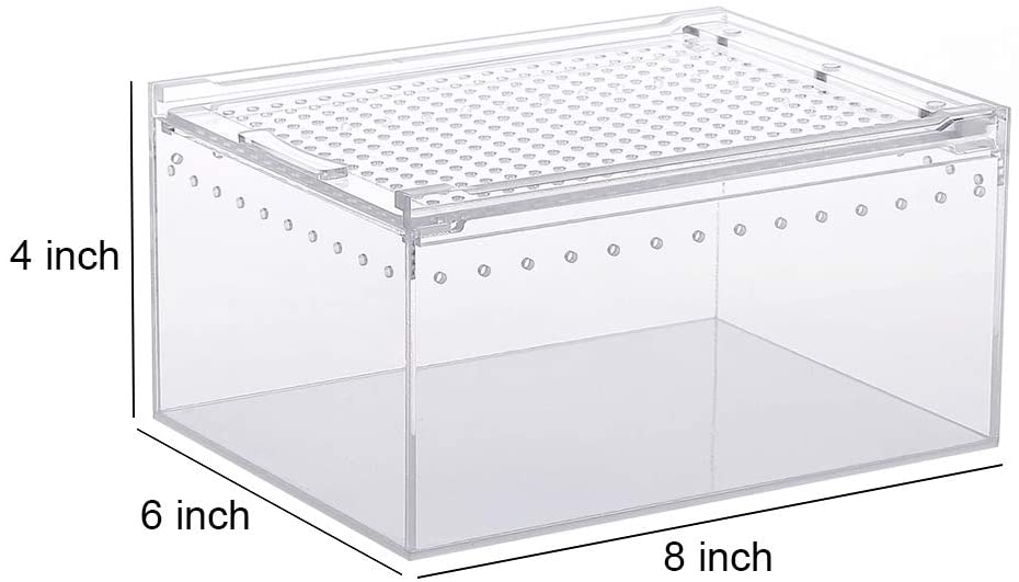 Caja de acrílico para reptiles, caja plana larga transparente para cría de reptiles, terrario, jaula para Tarantula, escorpión, Isopods