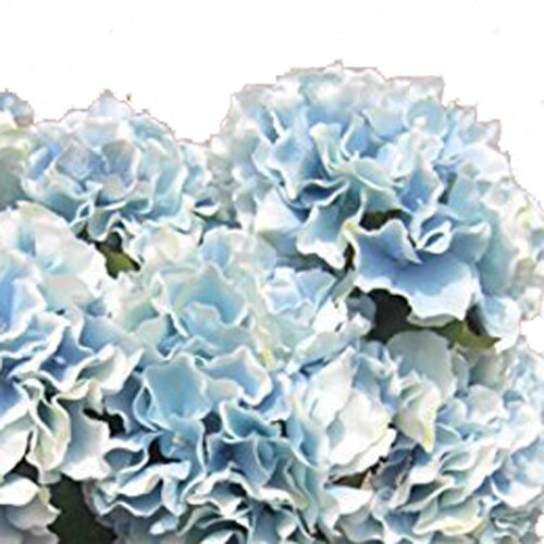 Kunstig hortensia blomst 5 store hoveder buket (diameter 7 "hvert hoved) blå