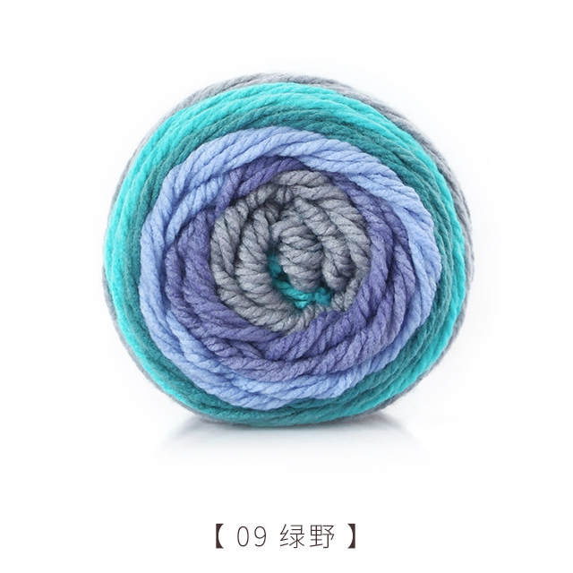 200G/Ball Hand Geweven Wol Diy Handgemaakte Gebreide Zachte Sjaal Hoed Trui Gehaakte Dikke Wol Voor Hand breien: 09