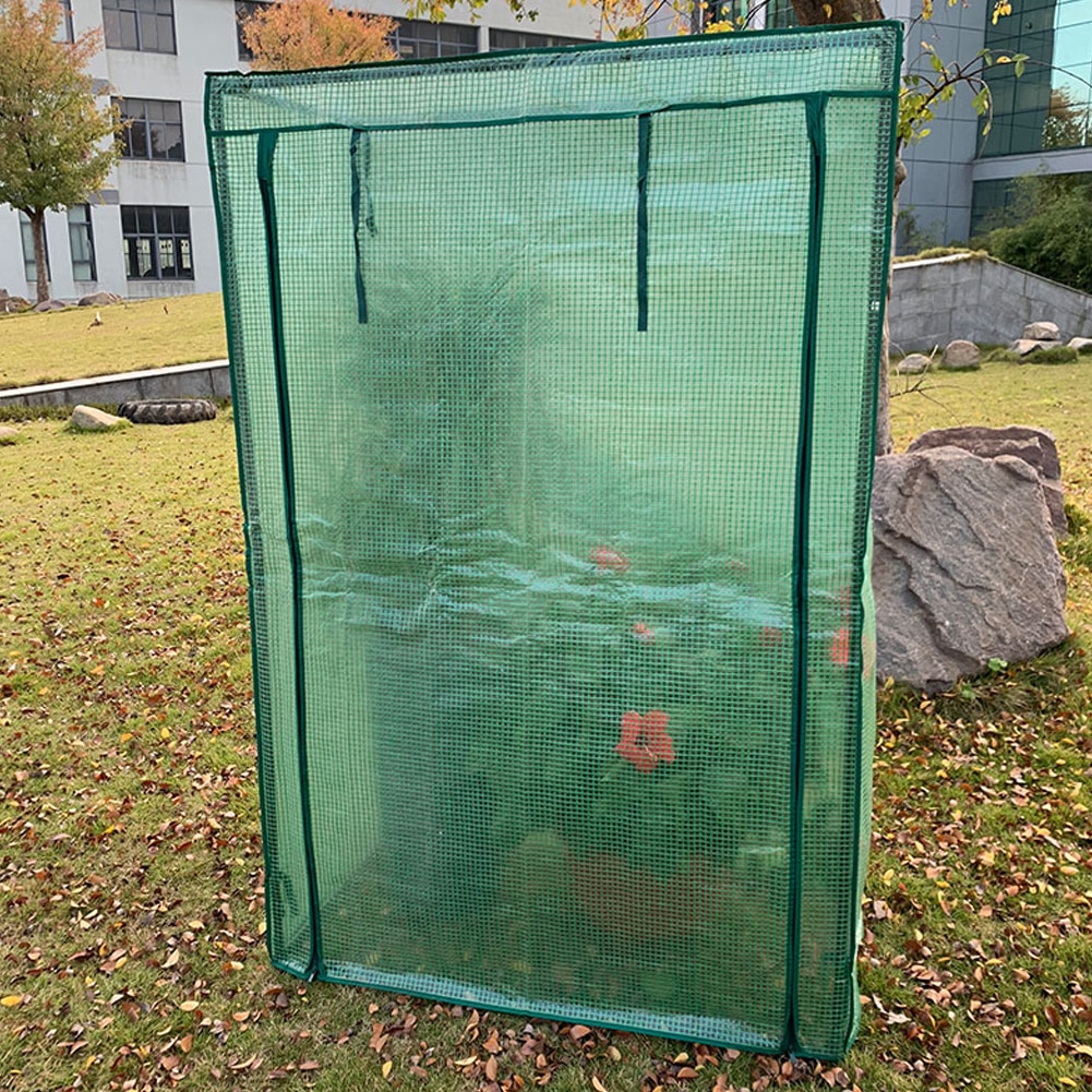 Serre pour chambre à fleurs, couverture d'isolation multi-viande, roses vertes, balcon, balcon, tente chaude de pépinière, fleurs