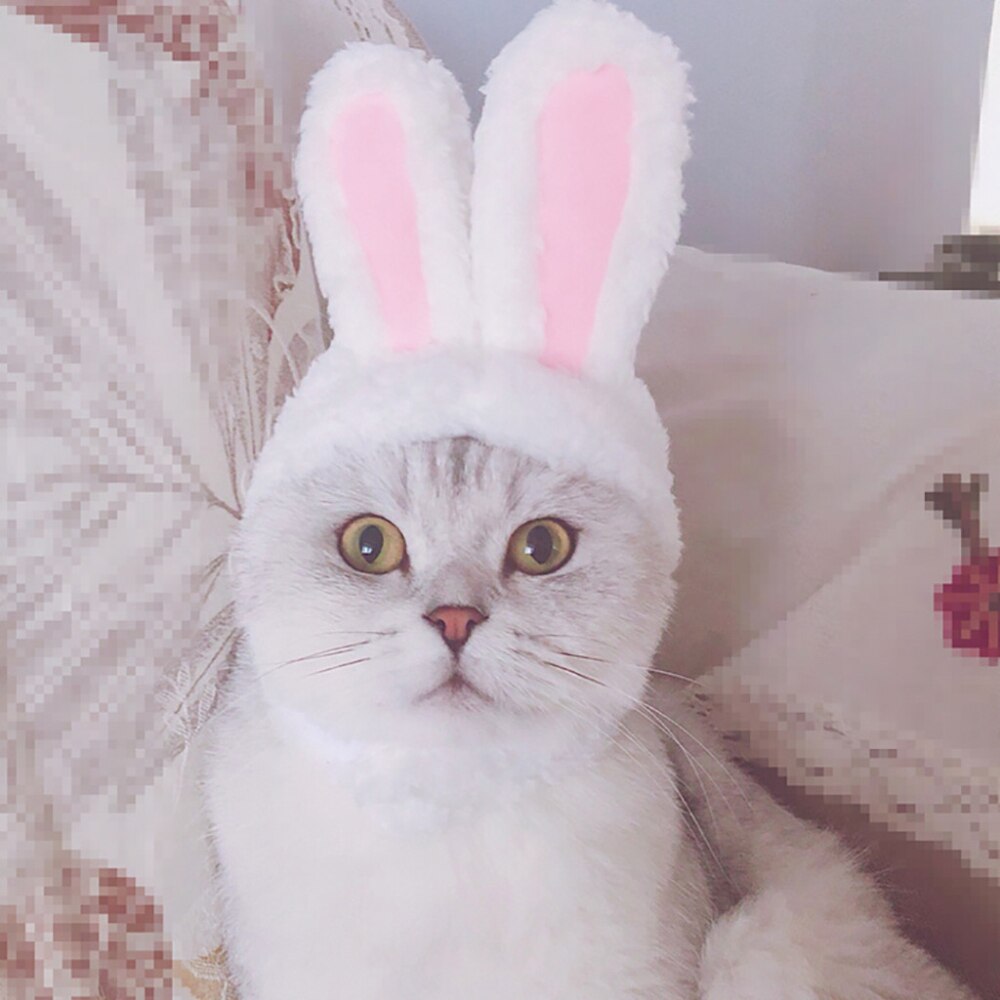 Rolig hund katt keps kostym varm kanin hatt årsfest jul cosplay tillbehör foto rekvisita huvudbonad katt kostymer