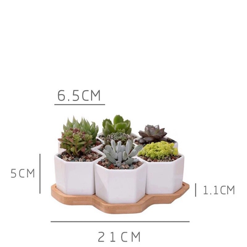 Hvid porcelæn sukkulenter potte grønne planter urtepotte med bambus bakke kontor bordplade planter kortfattet vase boligindretning: S