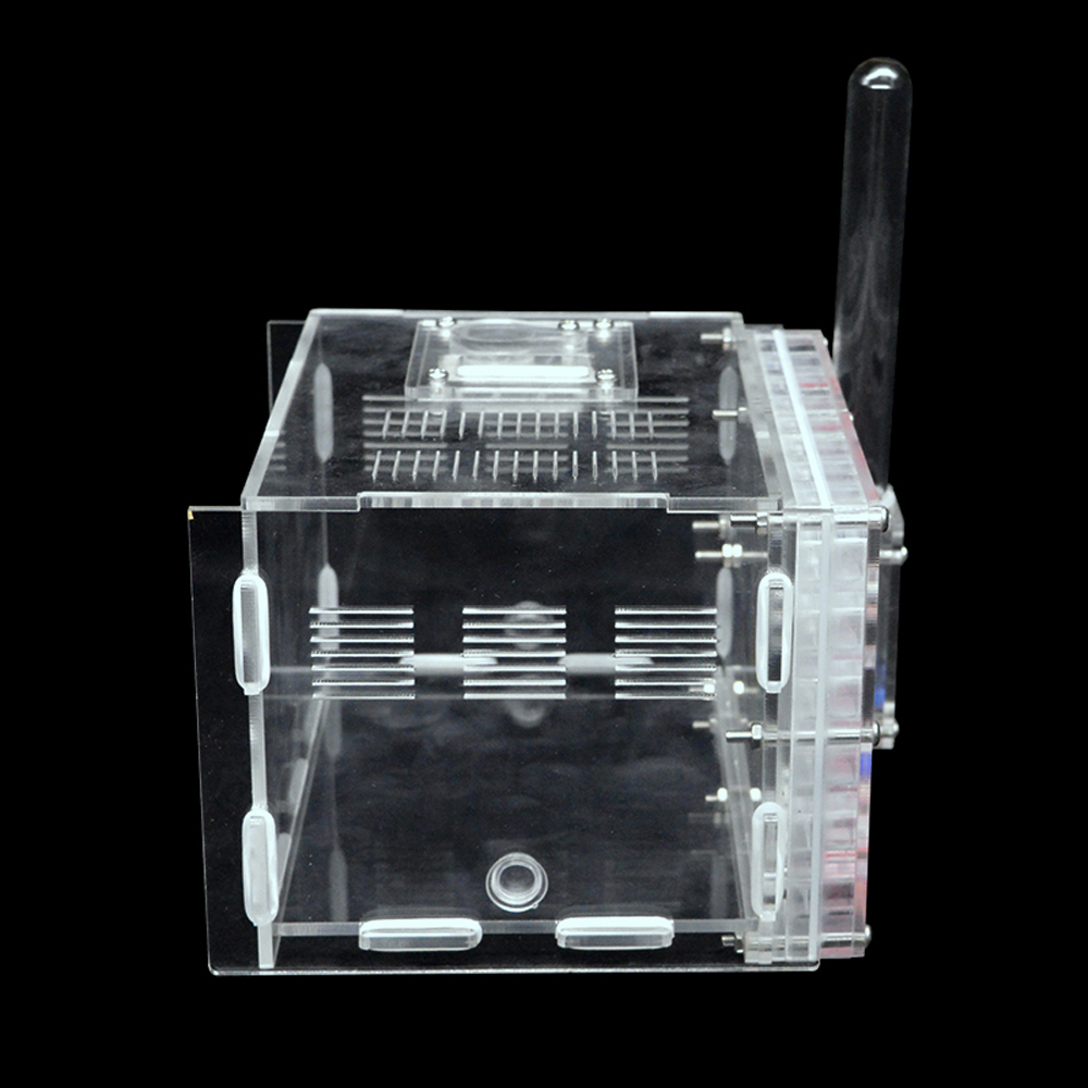 DIY Antgranery Moisture Feeding Area Acrylic Ant Farm Ants House Birthday