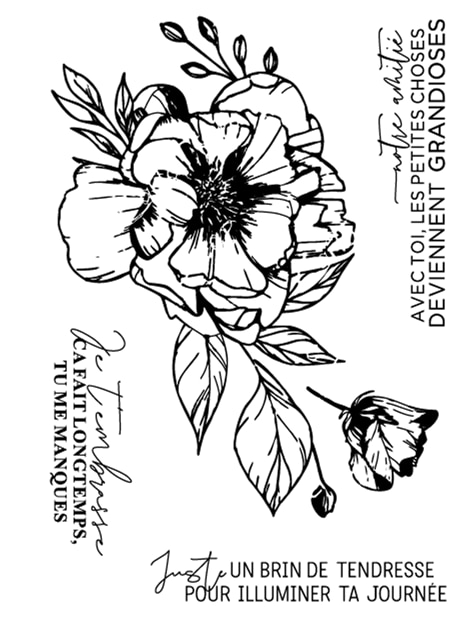 Fransk genomskinlig stämpel för scrapbooking transparent silikongummi gör-det-själv fotoalbumdekor  f131: Blandad färg