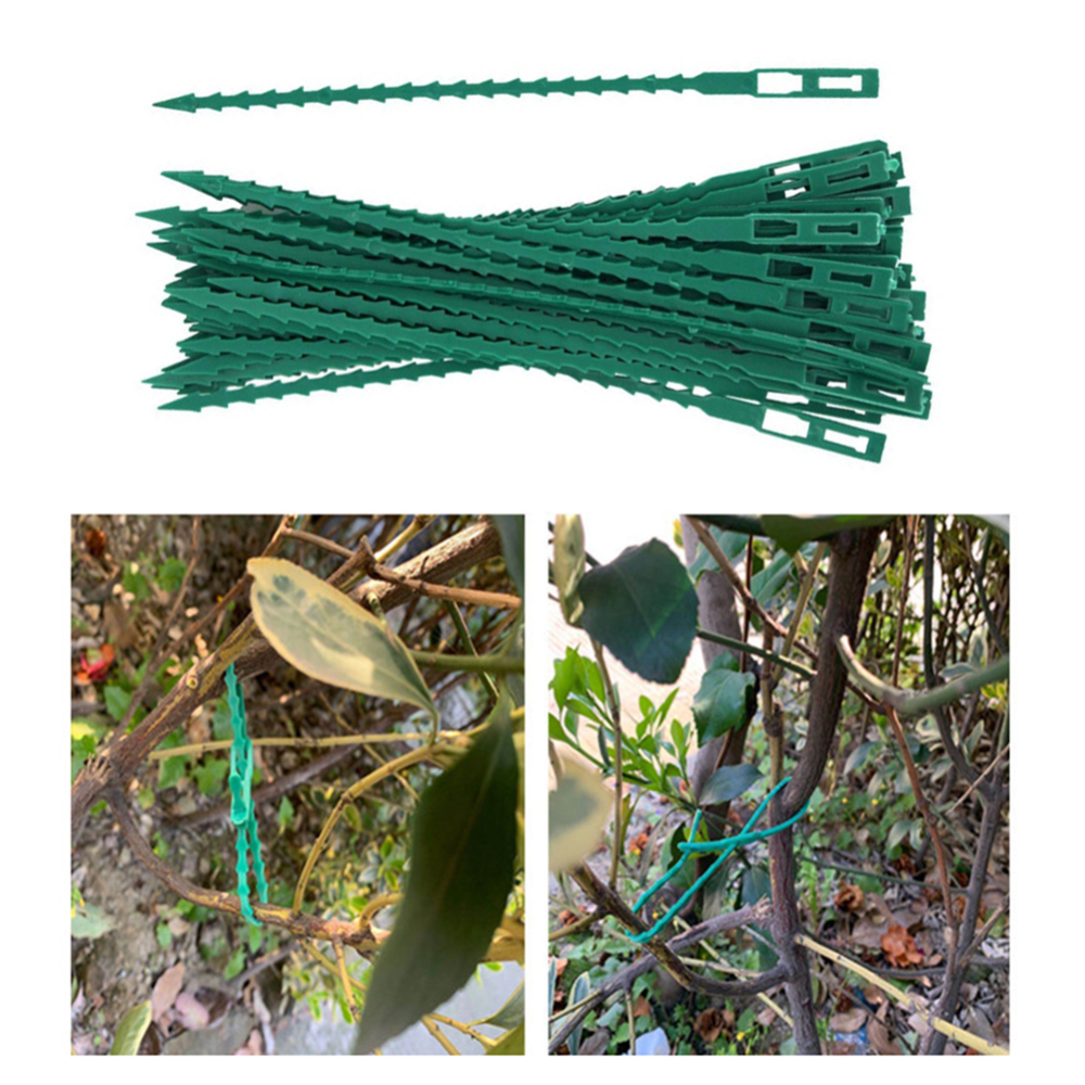 50Pcs Adjustable Garden Cable Ties Reusable Plant Support Shrubs Fastener Tree Locking Cable Ties Zip Garden Ties
