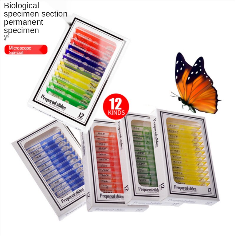 Microscope Accessories Children's Special Plastic Biological Section Animal Specimen 12 Pieces