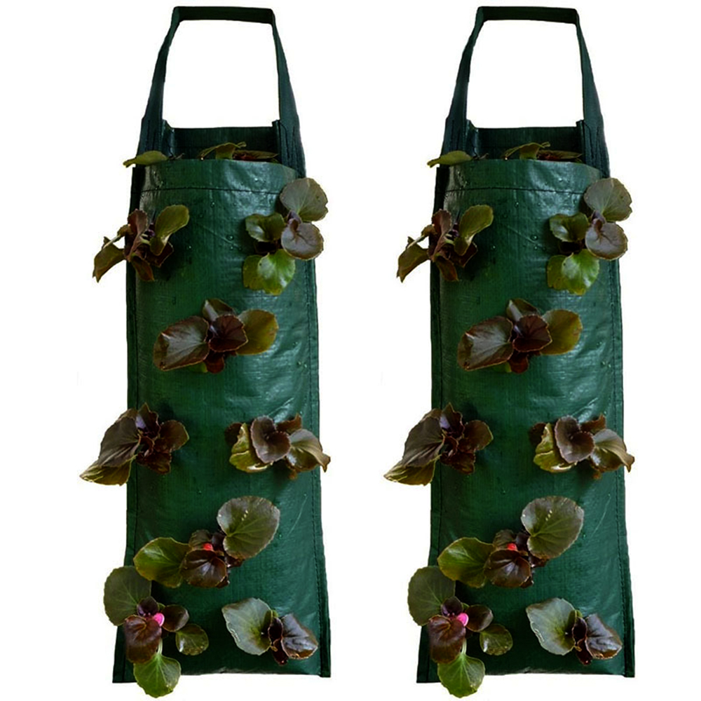 Muur Opknoping Verticale Tuin Aardbei Plant Groeien Zakken 4/6/8/10 Zakken Planten Zakken Planter Pot Aardappel Voor veg Kruiden Bloem