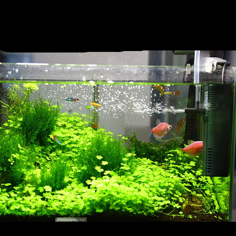 Sunsun 220V 50HZ Aquarium Fish Tank Multi Functional Water Pump Internal Filter HJ-111b HJ-311b HJ-411b HJ-611b