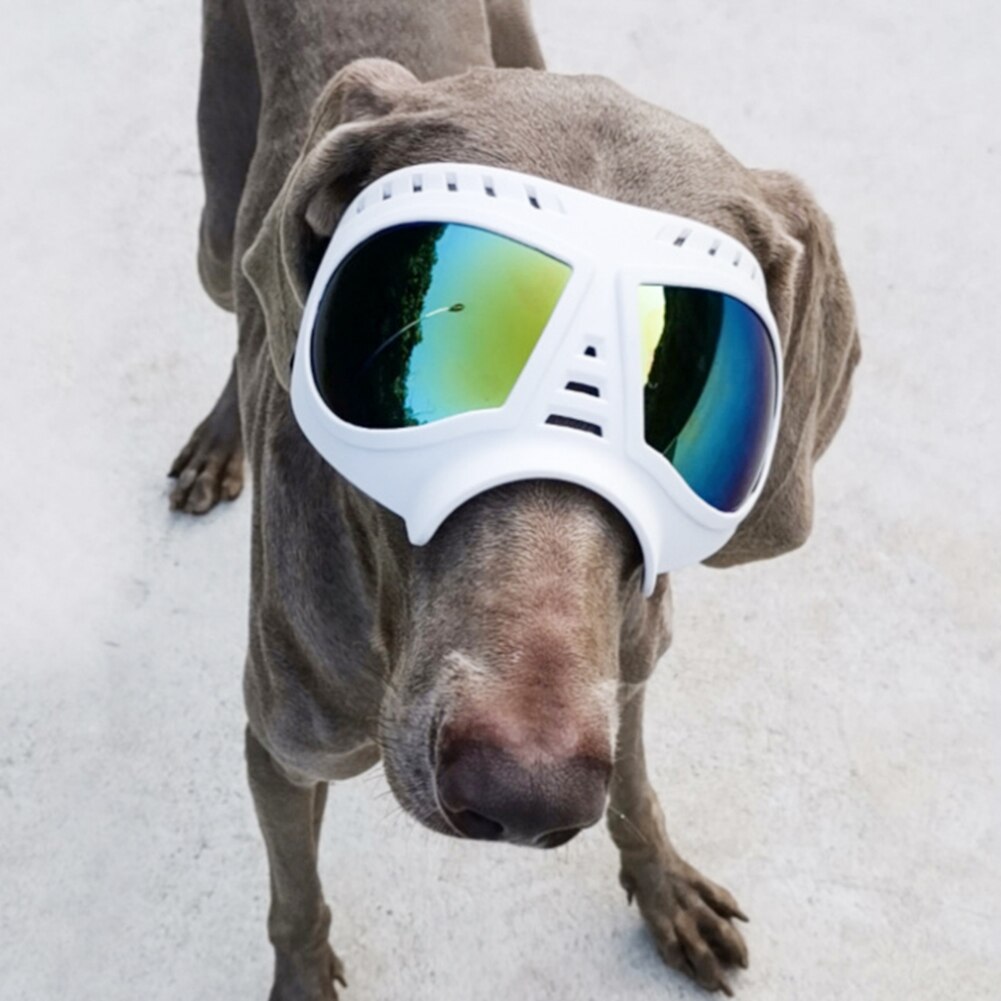 Gafas plegables para perros y mascotas, lentes para mascotas, resistentes al agua, a prueba de nieve, Marco suave, gafas de protección UV para perros