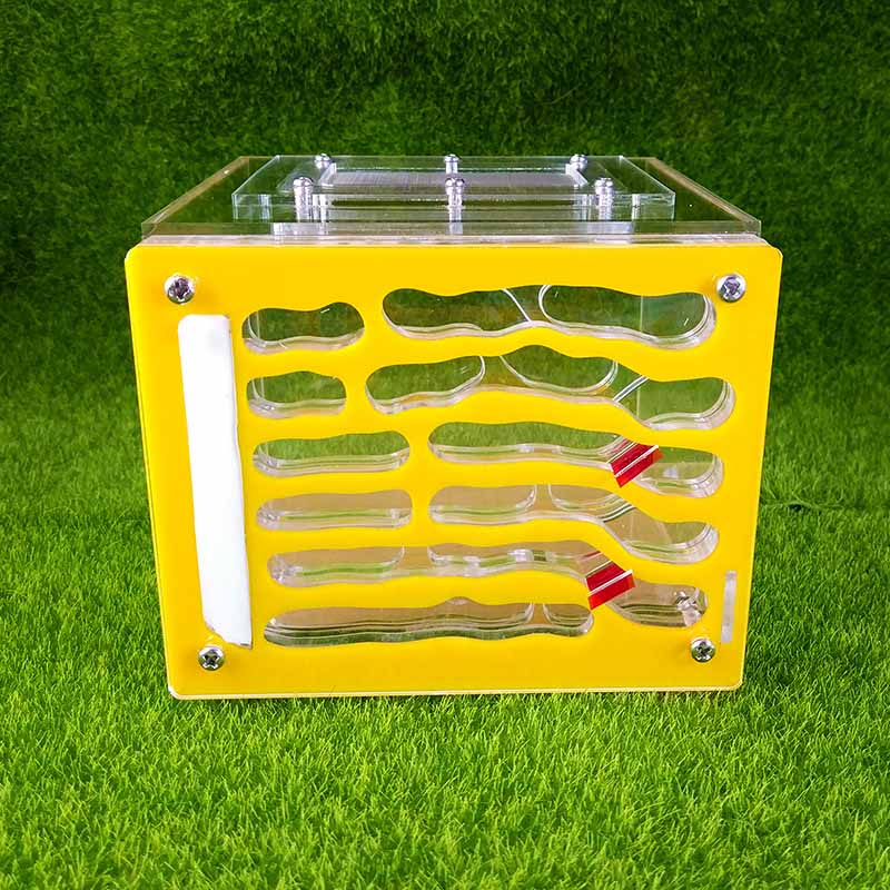 Acrylic Large Moisturizing Ant Nest Pet Ant Farm W... – Grandado