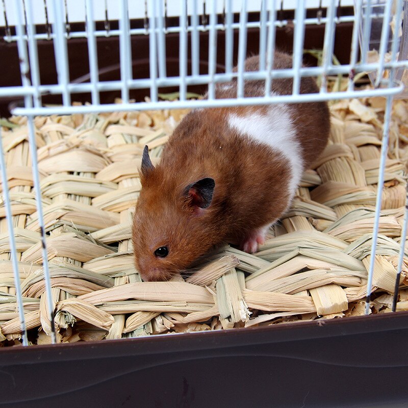 Hamster Grass Mat Pet Rabbit Chew Mat Toy Small Animal Rat Guinea Pig Interesting Pet Toys Woven Bed Mat for Small Pets