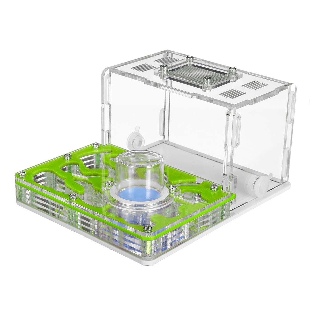nido de hormiga acrílico DIY, granja de hormigas con área de alimentación, hormigero grande para animal doméstico 4,7*11,7*7,5 cm: Green
