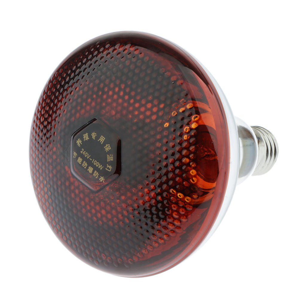 Bombilla de calor para reptiles, tortugas y tortugas, lámpara de 1x220V