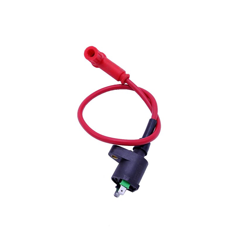 Motorfiets ontstekingsspoel Voor GY6 50cc Voor 125cc 150cc Motorfiets Motorfiets ontstekingsspoel Voor GY6 50cc Voor 125cc 150cc Motorfiets